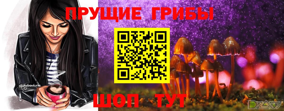 Псилоцибиновые грибы ЛСД Ярцево