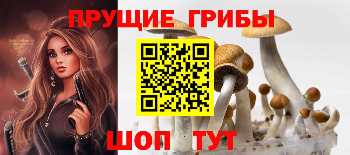 купить закладку  Вход с VPN  Ярцево  Галлюциногенные грибы прущие грибы 